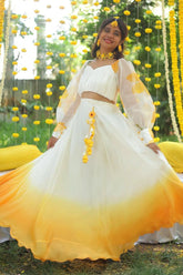 Haldhi sara-charming ombre set